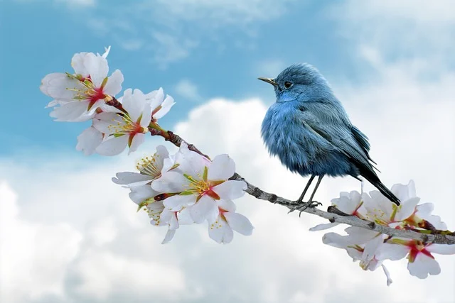 Pájaro en vuelo