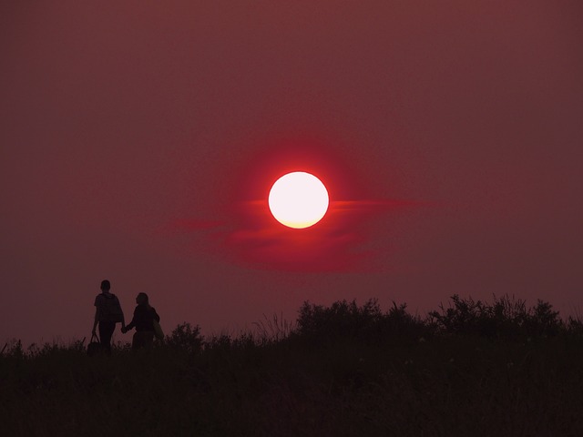 two people taking hands at sunset